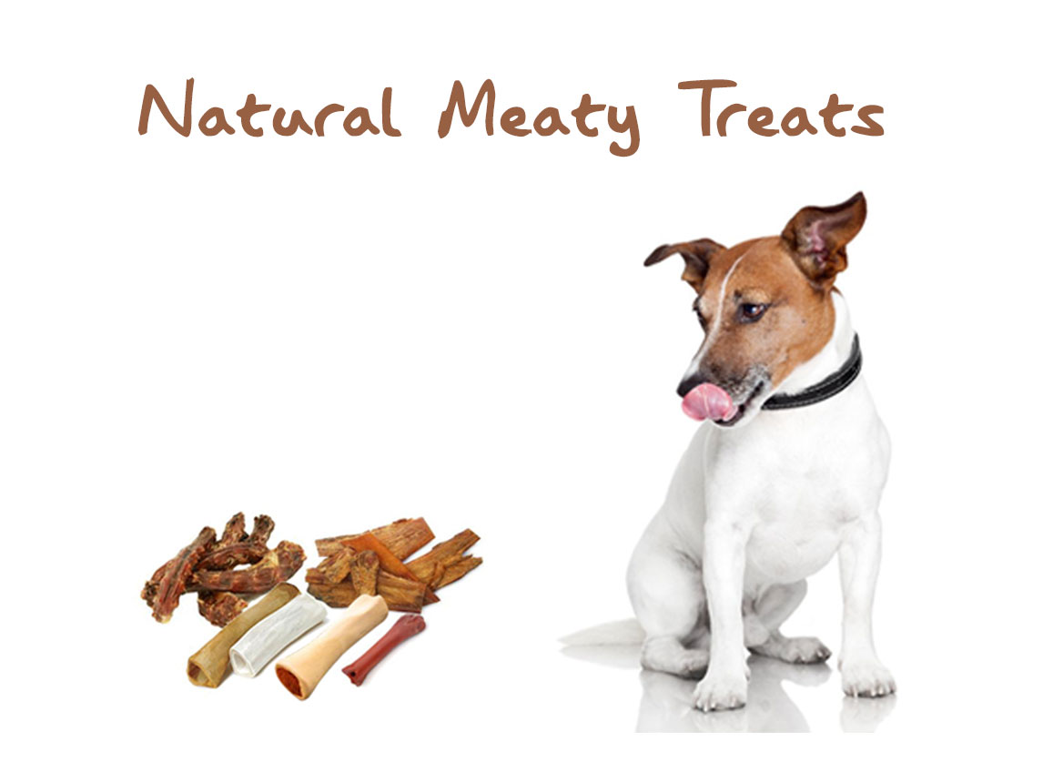 Peten Care Natural Products